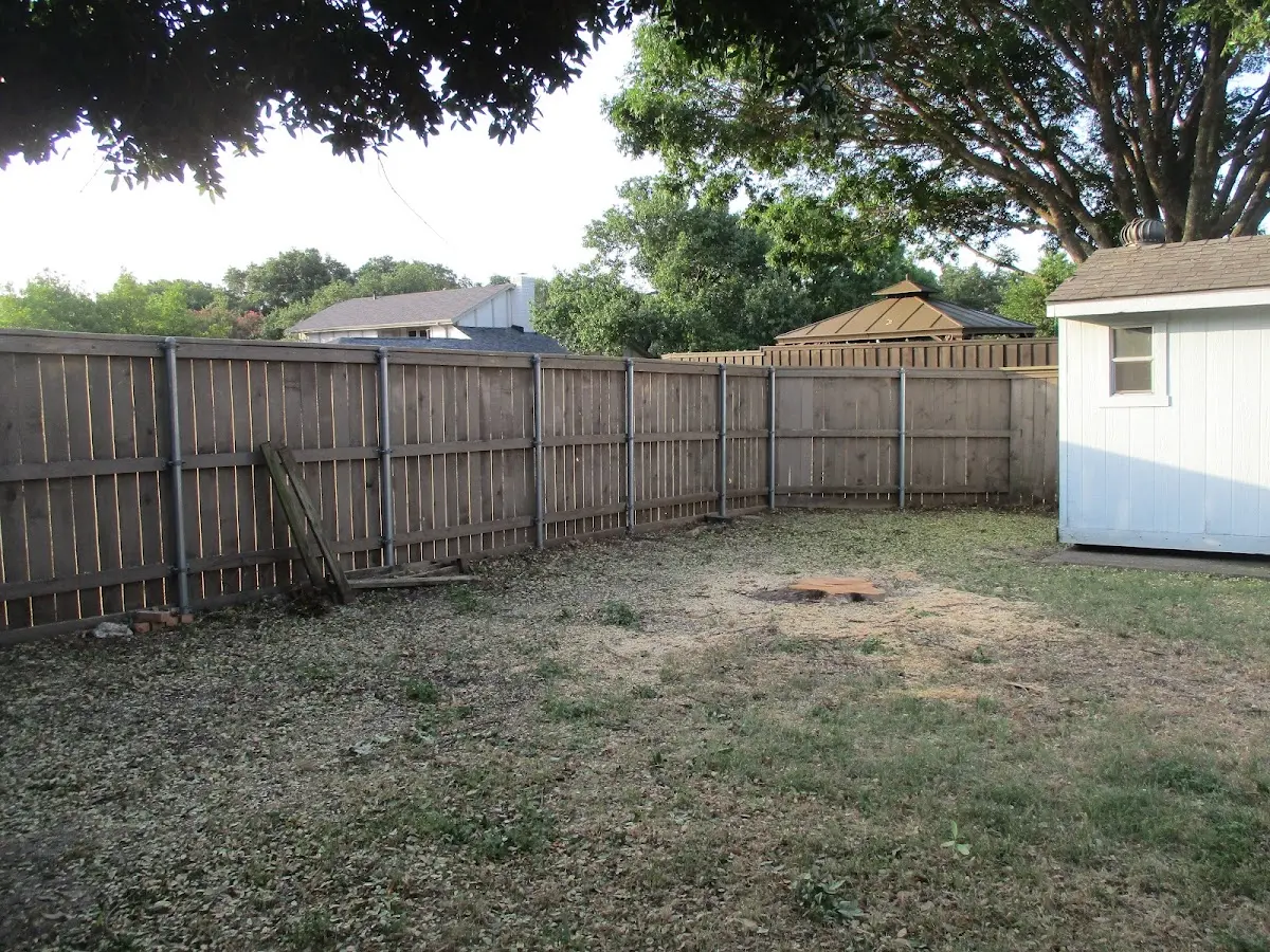 Cleared yard after professional tree removal in Rainsville